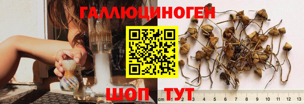 Псилоцибиновые грибы Psilocybine cubensis  Вход с VPN  Челябинск  Псилоцибиновые грибы MAGIC MUSHROOMS 